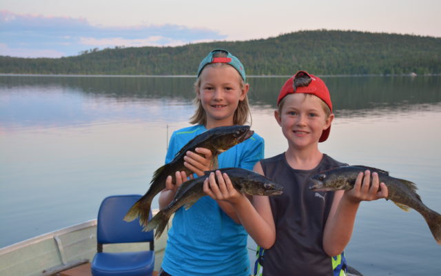 Two boys holding walleye on the dock at Dibben Lake.